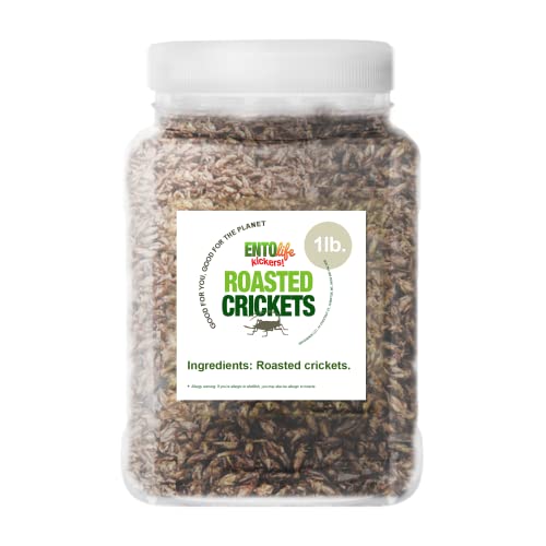 Roasted Edible Crickets Pound Size Pound Size Crickets you can eat Farm raised for human