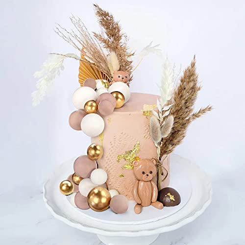 50 Pcs Boho Mini Balls Cake Toppers Various Dried Pampas Grass Cake Decor Bunny Tails White Brown Pampas Grass For Boho Home Wedding Cake Decoration (White Gold Light Brown) #TOP3