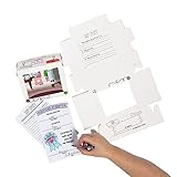 Color Your Own Desk Pet Home Habitat with Adoption Certificates - 12 Pieces