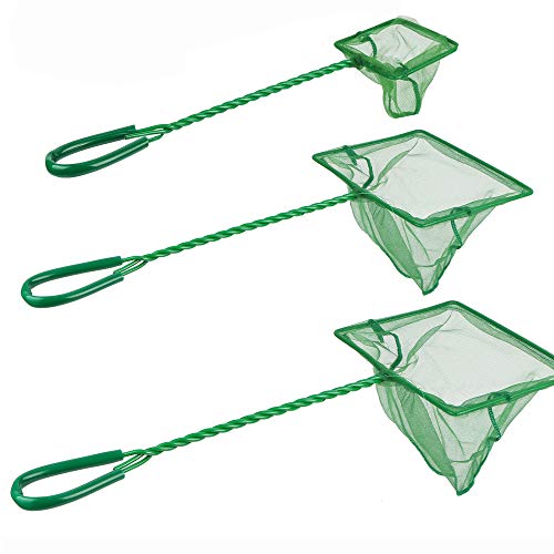 DAGUANZHI Green Aquarium Fish Net Fine Mesh Aquarium Fish Skimmer Net Aquarium Net Scoop with Plastic Handle for Catching Small Fish Shrimp Aquatic Plants Fish Tanks and Bowls