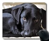 5. respaldo no deslizante; Yanteng Cachorro Alfombrilla de ratón, Mousepad (Alfombrilla de ratón para Perros) YT 018