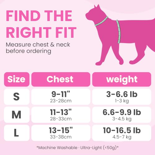 Image of HEYWEAN Cat Harness and Leash - Ultra Light Escape Proof Kitten Collar Cat Walking Jacket with Running Cushioning Soft and Comfortable Suitable for Puppies Rabbits