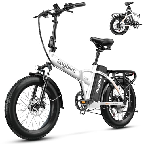 bluebiko 1000W Folding Electric Bike, 48V 20AH Large Removab...