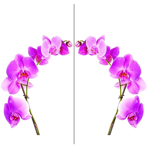 Stickers muraux fleurs Orchidée Kit x2 - Autocollants muraux, adhésif floral - stickers...