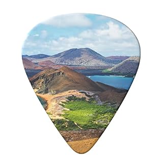 View Of Two Beaches Lot de 6 médiators imprimés pour guitare acoustique et électrique - Les Beatles, Paul McCartney, John Lennon, RIngo Starr, George Harrison View Of Two Beaches Lot de 6 médiators imprimés pour guitare acoustique et électrique – Image 3
