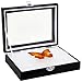 Insect Display Case - Bug Display Box with Glass Window and Secure - Riker Mount for Insect Collecting, 8 x 1.8 x 6 Inches