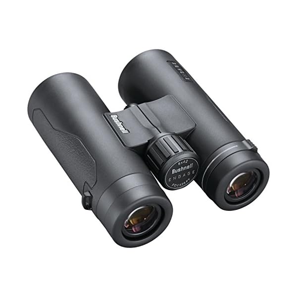 Bushnell - Engage EDX - Fernglas - 8x42 - Dachkantprisma - Schwarz - EXO-Barriere - Voll mehrschichtvergütet - BEN842 – Bild 4
