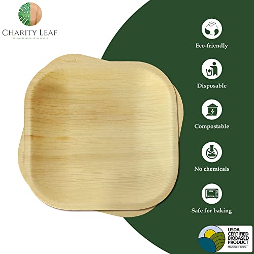 Charity Leaf Disposable Palm Leaf 5" Square Plates (50 Pieces) Bamboo Like Serving Platters, Disposable Boards, Eco-Friendly Dinnerware For Weddings, Catering, Events #TOP3