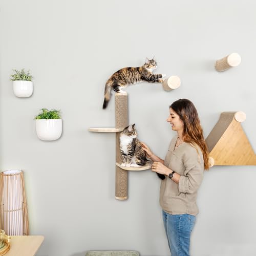 Image of Cat Climbing Wall System - Modern Floating Shelves & Perches for Cats - Sunrise Steps | Ascentials by FurHaven
