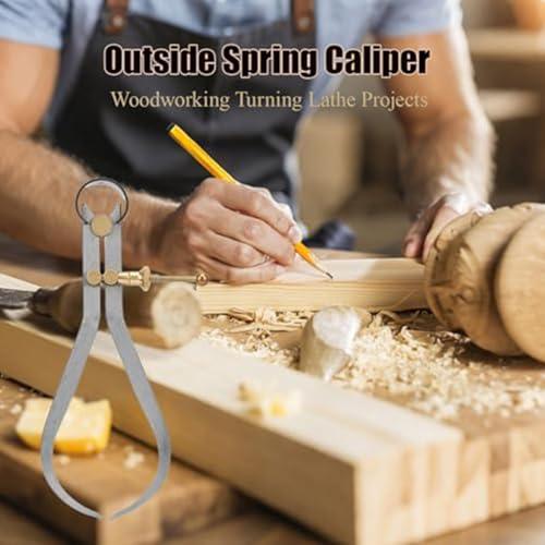 Calibrador de resorte externo precisión 250 mm miniatura 2