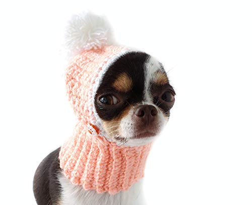 Crochet Dog Hat Dog Costume Knit 