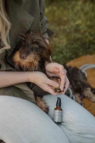 Erste-Hilfe-Set für Hunde - Verbandskasten mit First Aid Balsam und Silberspray, Verbandsmaterial, Wundkompresse und Heftpflaster-Rolle, FIRST AID BOX von LILA LOVES IT