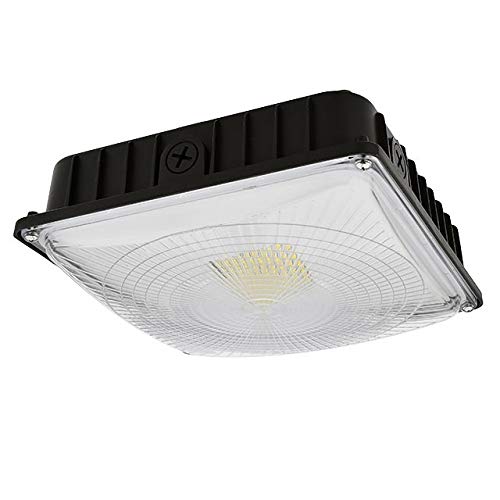 LEDwholesalers 70-Watt ETL-Listed & DLC-Qualified Dimmable LED Canopy Ceiling Light Fixture, Daylight 5000K, 3925WH-R2