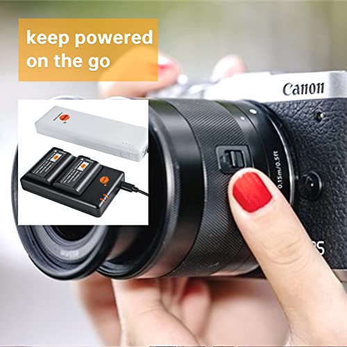 Chargeur micro USB et 2 batteries DMW-BLK22 à charge simultanée