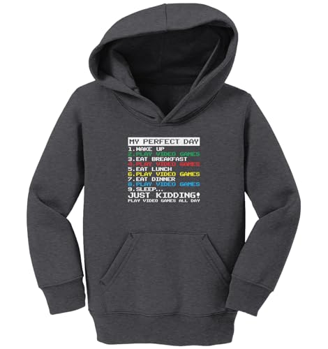 Haase Unlimited My Perfect Day Video Game Schedule Toddler/Youth Fleece Hoodie