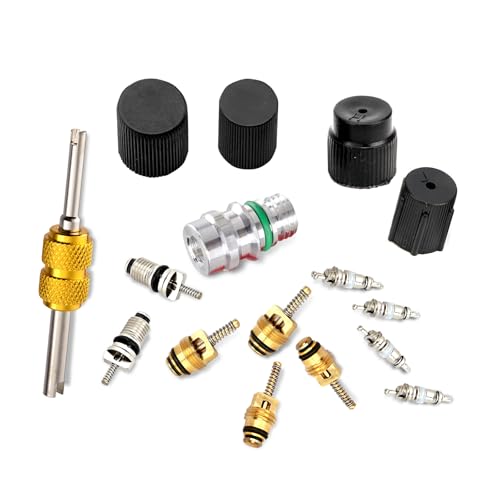 ekurfos 16 PCS Car AC Valve Core Kit for R134a R12 Vehicles