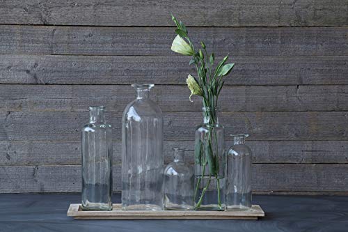 Creative Co-Op Set of 5 Vintage Bottle Vases on Wood Tray - Image 3