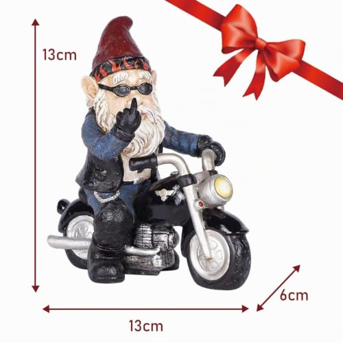CHJIEJIE Nain de Jardin en Forme de Moto pour Le Jardin, décoration de Jardin, décoration de terrasse, décoration de Balcon – vue 2