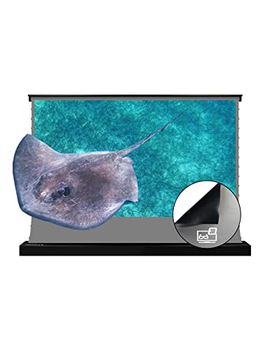 Vividstorm-3D Long Focus Ambient Light Rejecting Screen Material, Motorized Floor-Rising Projection Screen,Compatible With Lumen Up To 1800Ansi Of Normally Projector,Vsdstalr120H-3D #TOP15