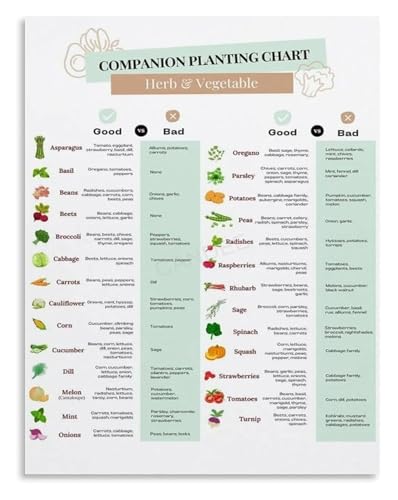 Backyard Garden Poster Seed Starting Basics Companion Planting Canvas Wall Art for Tool Shed and Sunroom Decor(Unframed,12x18inc