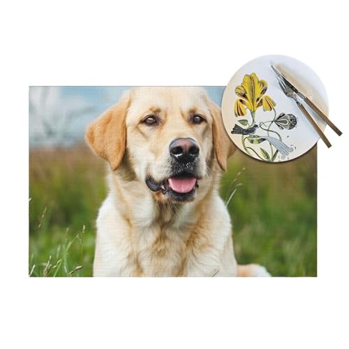 Set de table PVC labrador pour des repas en famille joyeux et des tables d'enfants bien protégées
