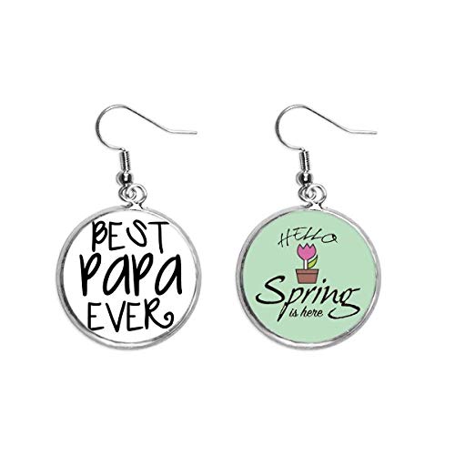 Colgante mejor papa nunca decir soluciona la falta de variedad en pendientes de primavera