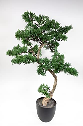 Bonsai Zeder 90x60cm GA künstlicher Baum Kunstbaum Dekobaum Kunstpflanzen Seidenblumen Roß Bonsai Zeder 90x60cm GA künstlicher Baum Kunstbaum Dekobaum Kunstpflanzen Seidenblumen Roß