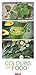 Produktbild Colours of Food Kalender 2026: Jahres-Wandkalender 2026. Buntes Obst, knackiges Gemüse und weitere Leckereien in einem harmonischen Spiel mit Farben. Foodkalender im Großformat 33 x 68 cm