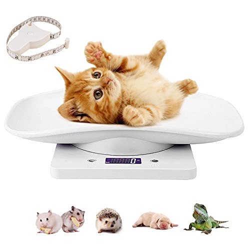 List of Top Ten Best Puppy Scale Top Picks 2023 Reviews