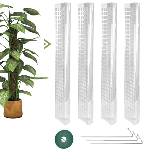 SPEACOUR 4 Pz Pali per Piante Rampicanti 61cm Tutore Piante Rampicanti Supporto Piante con 3 Chiodi e Cravatta Bastone Muschio Piante Rampicanti Monstera Stecche Piante Rampicanti da Interni e Esterni