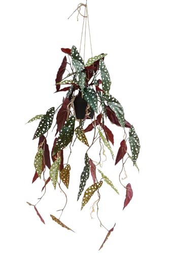 Planta colgante artificial de Begonia Maculata de 95 cm, planta colgante artificial, verde, realista, plantas de interior, plantas bonitas