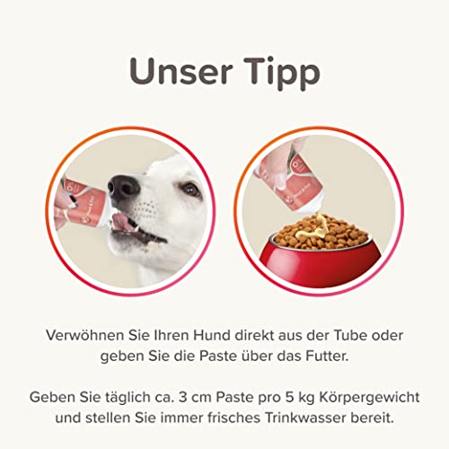 Beaphar Lachsöl Paste Hund, 100g