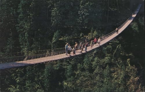 Capilano Suspension Bridge, Eighth Wonder of the World North Vancouver British Columbia Original Vintage Postcard