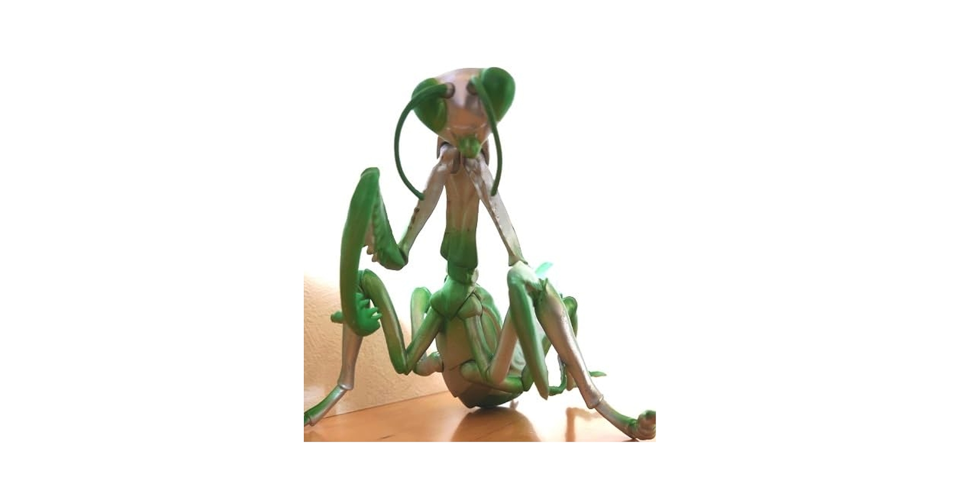 Amazon.co.jp: オオカマキリ BIG カマキリ 昆虫 フィギュア MEGA