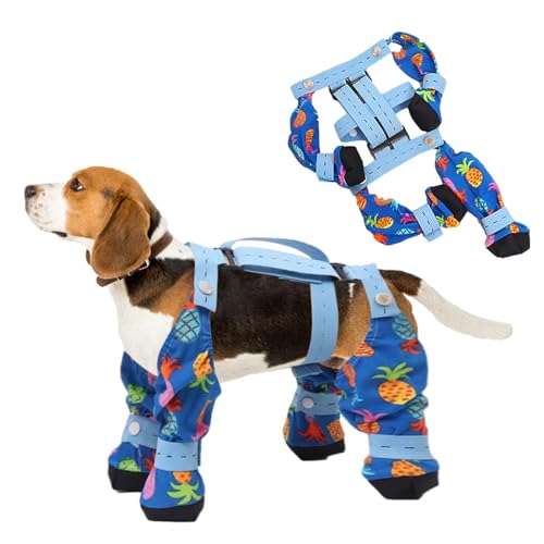 ZGHQHCDRHpTXy_[ h  Jo[ bO EH[}[  veN^[V[Y bOJo[ 4{pc hAꐫ ̑̃u[cƃMX ^^p OEH[LO ⏕XgbvtjOnCLOu[c