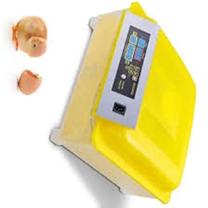 TM&W-(HHD) | Automatic Intelligent Egg Hatcher Digital Hatching 48 Egg Incubator Eggs Incubator Chicken