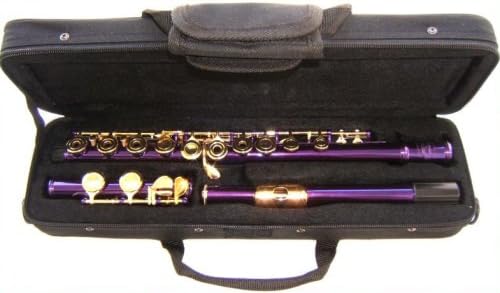 Purple Open Hole Flute