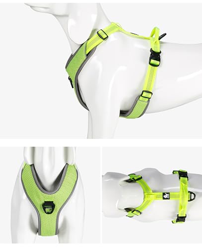 TRUE LOVE Hundegeschirr Outdoor Adventure II Reflektierende Weste mit 2 Leinenbefestigungen passende Leine und Halsband erhältlich TLH6071