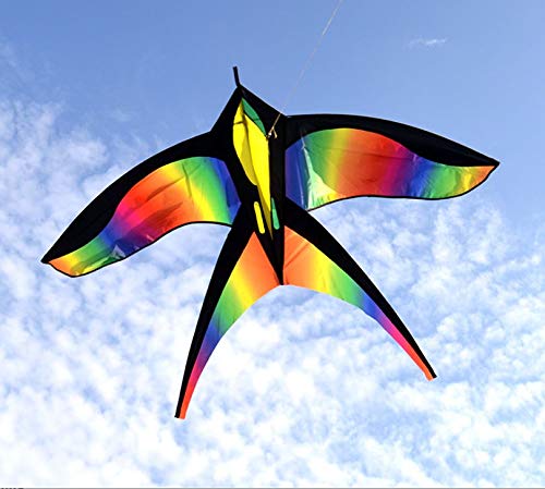 Peace and Love Global Products Bird Kite - Kite for Kids - Kite for Adults - Rainbow Colored - Easy to Fly Kite - Complete with String - Outdoor Activities for Kids
