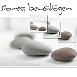  Symphony No. 1 in D Major \