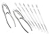 Kitchen Craft Pinza per crostacei e forchette per frutti di mare, in acciaio INOX, set regalo