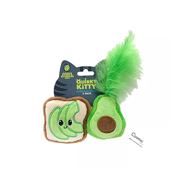 Quirky kitty avocado toast
