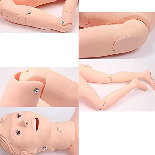 Mannequin de soins infirmiers 160 cm modèle anatomique complet