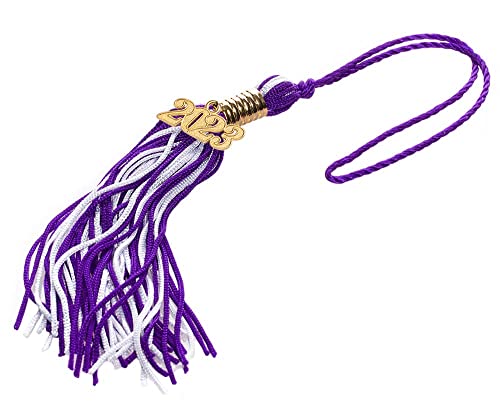 Happy Graduates 2023 Shiny Purple Deluxe Child Graduation Set, Large, Kindergarten Graduation Cap And Gown Set, For Preschool Graduation, Includes Graduation Cap, Gown, Tassel, Sash, Ring, Diploma #TOP4