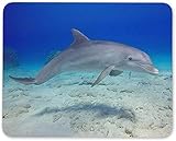 tauchen ohne computer Weiche Materialien für Handgelenke und Hände, glatte Oberfläche, rutschfeste Gummi-Unterseite halten den Desktop fest.