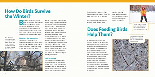 How to Feed Backyard Birds: A Step-by-Step Guide for Kids