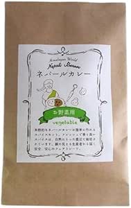 ネパリ・バザーロ　ネパールカレー　お野菜用　47g（4皿分×2回）　x2個セット