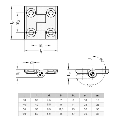 Ganter Normelemente GN 237.1-30-30-A Scharnier Kunststoff, schwarz, 30x30mm