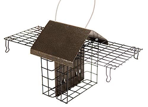 JCs Wildlife Metal House Double Suet Cage with Hammered Style Roof - Holds 2 Standard Size Suet Cakes or Seed Cakes (Bronze)