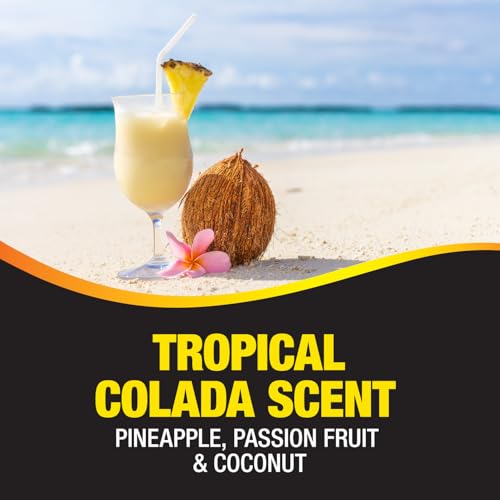 California Scents Palms Paper Tropical Colada Air Freshener by California Scents - Image 4